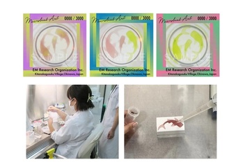 【沖縄×NFT】微生物で描いたNFTアートを数量限定で販売