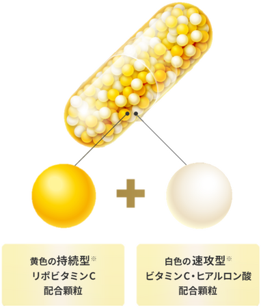 ロート製薬、リポソーム型ビタミンC配合の美容サプリメント「THE LYPO（ザリポ）」を発売