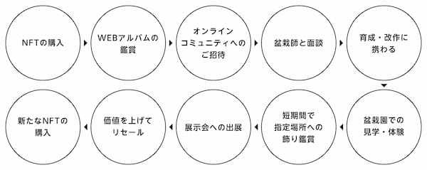 【創業昭和9年、岡崎の老舗盆栽園の挑戦】盆栽×NFTマーケットプレイス『BON voyage』を全世界向けにリリース。