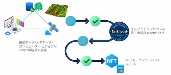 カーボンクレジットNFTを創出する実証実験 東京電力 ジョイントベンチャー とインドネシア・ベトナム等で実施 | Carbontribe Labs