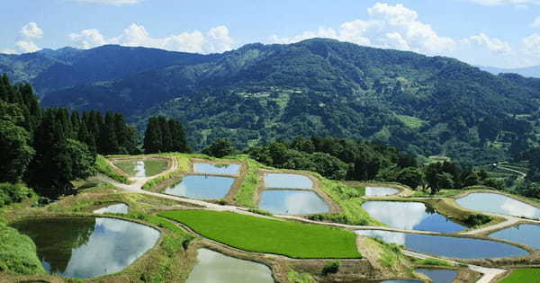 新潟･旧山古志村の「デジタル村民プロジェクト」、NHK総合にて放送