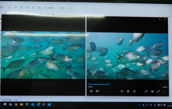 カメラで生け簀内をモニタリングしている様子