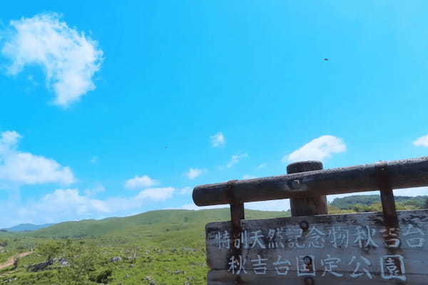 【自然に癒される】秋吉台国定公園で身も心もリラックス!【山口エリア】