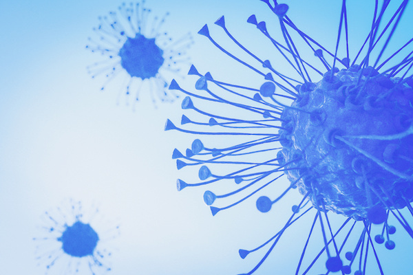 制御性T細胞を活用した免疫療法を開発するレグセル、総額約5.5億円の資⾦調達を実施