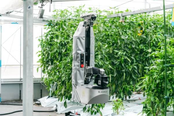 AGRIST株式会社が開発したピーマン自動収穫ロボット『L』