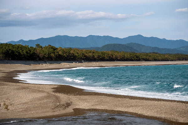 矢野経済研究所