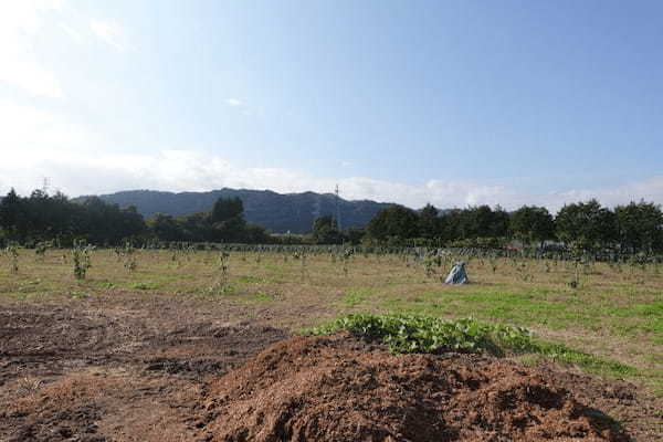 東日本大震災から13年、「ゼロからのまちづくり」を進める福島県大熊町、産業創出や生活拠点・教育環境などの整備が加速