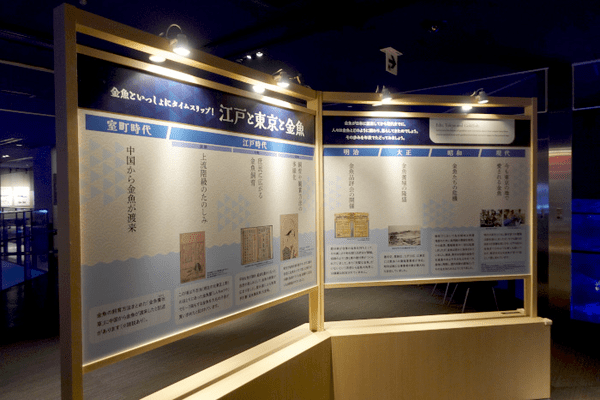 すみだ水族館、「金魚」の歴史と魅力を伝える夏季限定イベント「東京金魚～時代を泳ぐ、小さなミューズたち～」を開催