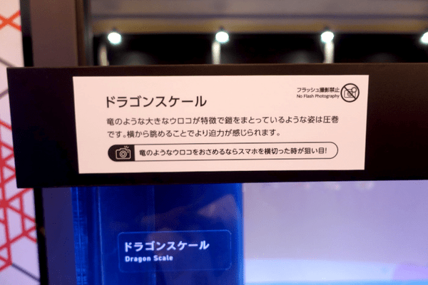 すみだ水族館、「金魚」の歴史と魅力を伝える夏季限定イベント「東京金魚～時代を泳ぐ、小さなミューズたち～」を開催