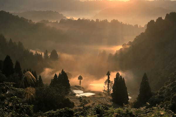 限界集落「山古志」で生まれたLocal DAOを世界各地に広げるため、Nishikigoi NFTの第3弾セールを開始