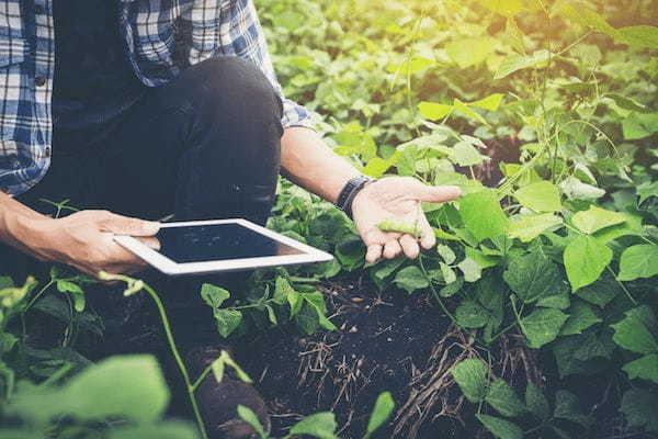 トータテHD、農業体験アプリを開発するRootの株式取得、子会社化