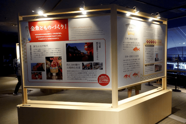 すみだ水族館、「金魚」の歴史と魅力を伝える夏季限定イベント「東京金魚～時代を泳ぐ、小さなミューズたち～」を開催