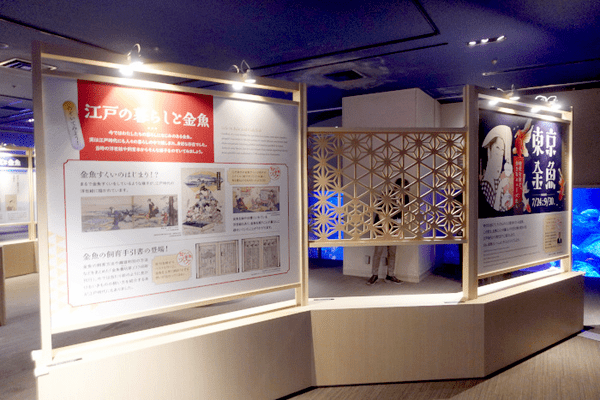 すみだ水族館、「金魚」の歴史と魅力を伝える夏季限定イベント「東京金魚～時代を泳ぐ、小さなミューズたち～」を開催