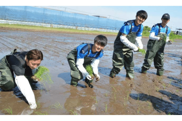 「横浜FCアグリプロジェクト“ハマ米”」田植えの様子(左から内田C.R.O、清水悠斗選手、宇田光史朗選手、高塩隼生選手)