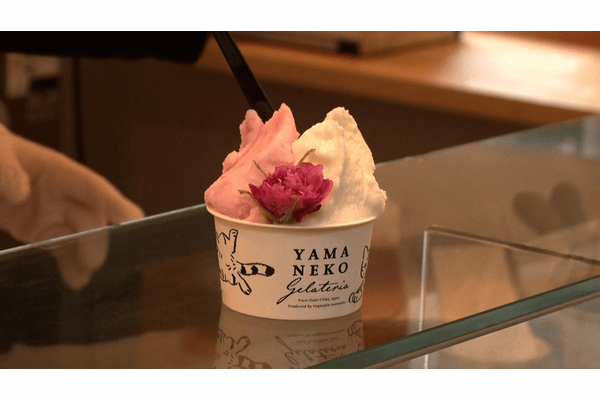 ヒット商品連発「古谷乳業」味とパッケージで大手を凌駕する中小メーカー：読んで分かる「カンブリア宮殿」