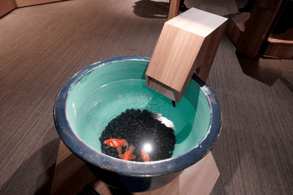 すみだ水族館、「金魚」の歴史と魅力を伝える夏季限定イベント「東京金魚～時代を泳ぐ、小さなミューズたち～」を開催