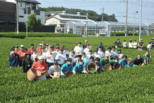 “狭紅茶”づくりに高校生が挑戦