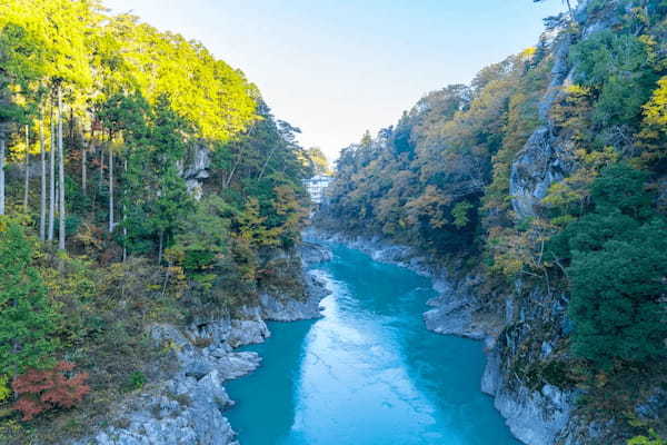 【Nishikigoi NFT】Local DAOの新しい候補地として長野県天龍峡と宮崎県椎葉村を発表。承認を問うコミュニティ投票を開始。