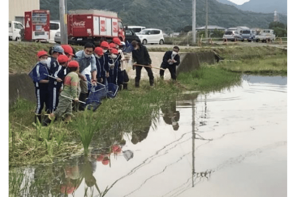 とくしまコウノトリ基金によるグリーンインフラ活動