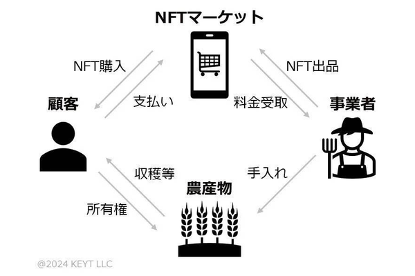 奈良の食と農を応援できるNFT。第一弾「柿の木NFT」販売開始!