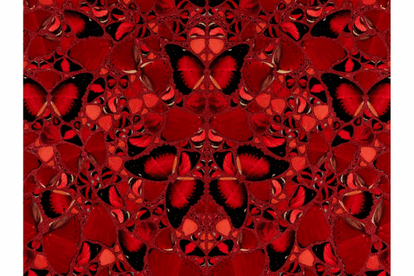 NFTが発売されたダミアン・ハーストの作品「The Currency」。複数の赤い蝶が並べられている。