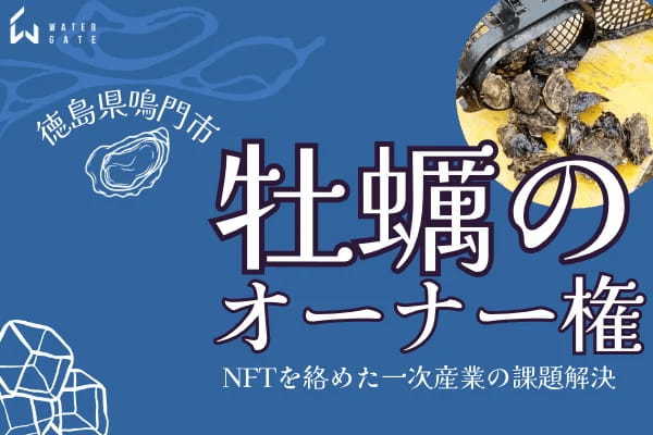 鳴門市の牡蠣のオーナー権！牡蠣若手の会「Oyster Professional」と合同会社WaterGateがNFTを活用した牡蠣を養殖バスケットのオーナー権を販売！