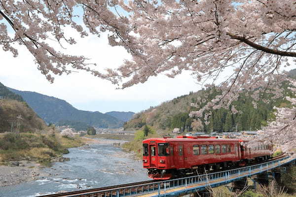 『モネの池』で話題沸騰中！車窓から観光を楽しむ岐阜・長良川鉄道の魅力