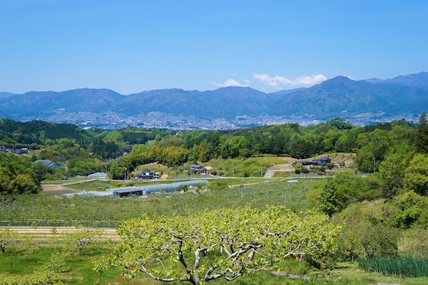 矢野経済研究所