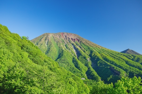 矢野経済研究所