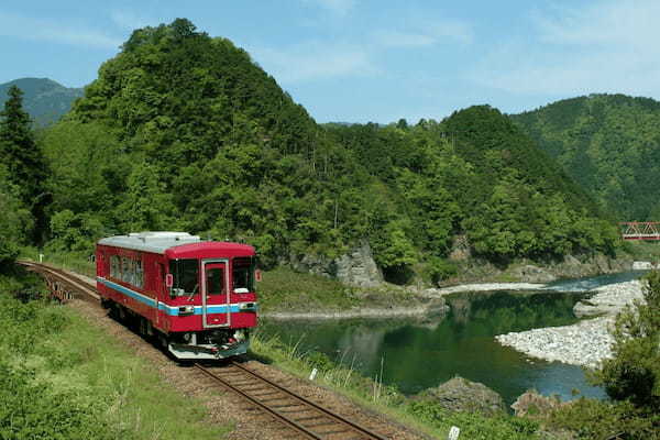 『モネの池』で話題沸騰中！車窓から観光を楽しむ岐阜・長良川鉄道の魅力