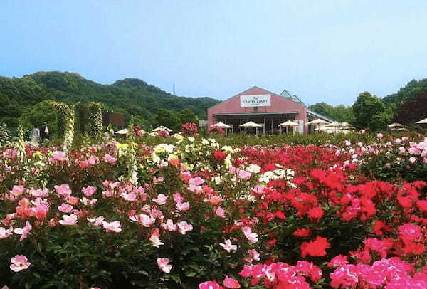バラが結ぶ世界の歴史と伝統「ぎふワールド・ローズガーデン」【岐阜エリア】
