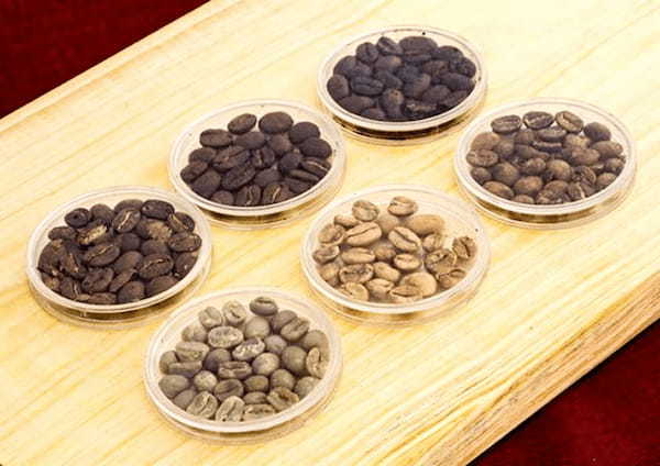 豆の質や抽出方法などコーヒーへのこだわりが増加