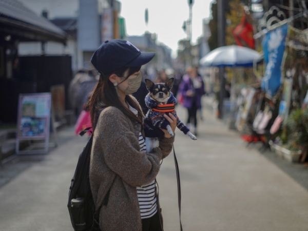 鎌倉観光から国道134号線を通って愛車を眺めながら泊まれる温泉グランピングへ【犬と一緒に巡る神奈川旅モデルコース：後編】