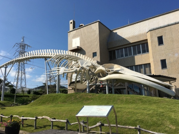 千葉県の道の駅がとにかく面白い！ 千葉出身の筆者があなたの知らない千葉の世界に触れられるオススメの道の駅を紹介します