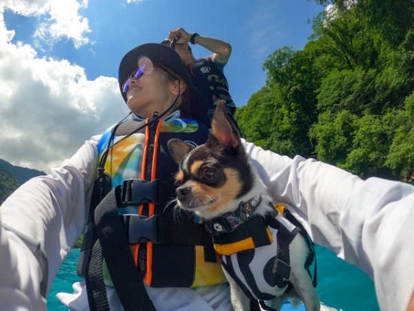 犬連れクルマ旅にアクティビティという＋αの楽しみを。愛犬と一緒に楽しむSUP、オススメです