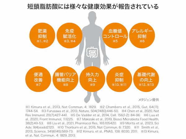 年々増える内臓脂肪や基礎代謝・免疫力の低下などの原因は？ 腸内細菌が産生する「短鎖脂肪酸」に研究者が注目