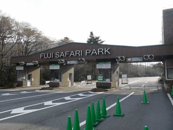 富士サファリパーク、様々な動物にエサあげできる春の特別イベント開催中、ライオンの4つ子の赤ちゃんの一般公開も開始