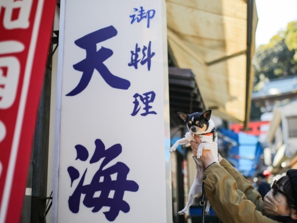 中京圏から犬にも優しい観光名所「江の島」へのクルマ旅【犬と一緒に巡る神奈川旅モデルコース：前編】