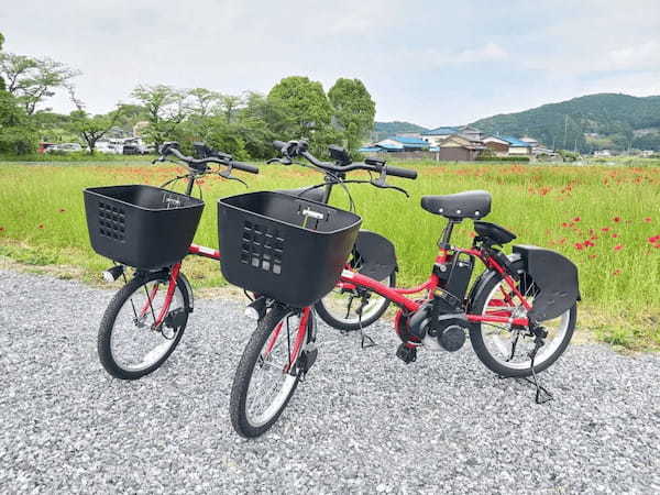 埼玉県小川町、全長203mのローラー滑り台などの体験がずっとお得に利用できる「道の駅おがわまちデジタル会員証」をHEXAで先着販売!