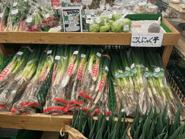 千葉県の道の駅がとにかく面白い！ 千葉出身の筆者があなたの知らない千葉の世界に触れられるオススメの道の駅を紹介します