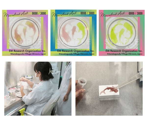 【沖縄×NFT】微生物で描いたNFTアートを数量限定で販売