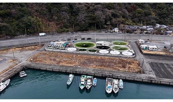 合同会社シーベジタブル 友廣裕一・蜂谷潤,カンブリア宮殿