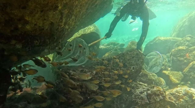 竹島水族館館長 小林龍二,カンブリア宮殿