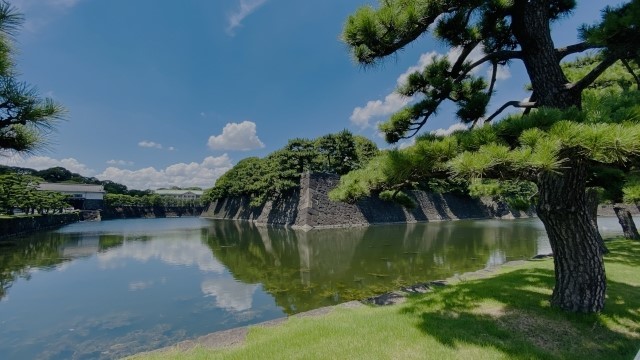 歴史が苦手だった私が、未来を創る「体力」に目覚めるまで