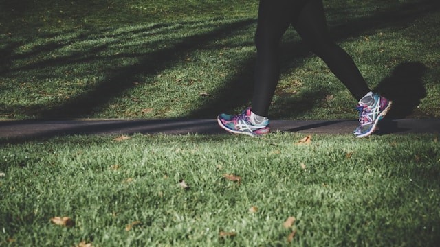 歴史が苦手だった私が、未来を創る「体力」に目覚めるまで