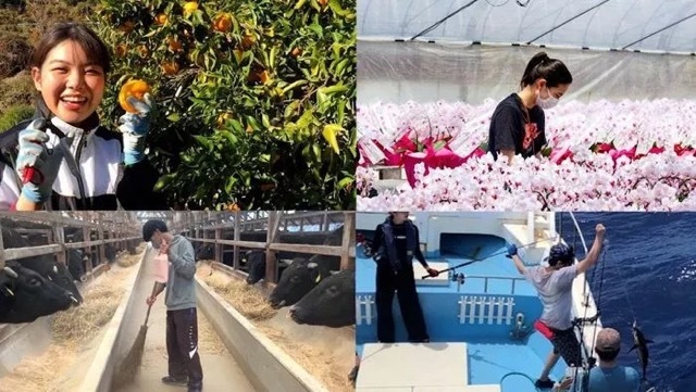 おてつたび社長 永岡里菜,カンブリア宮殿