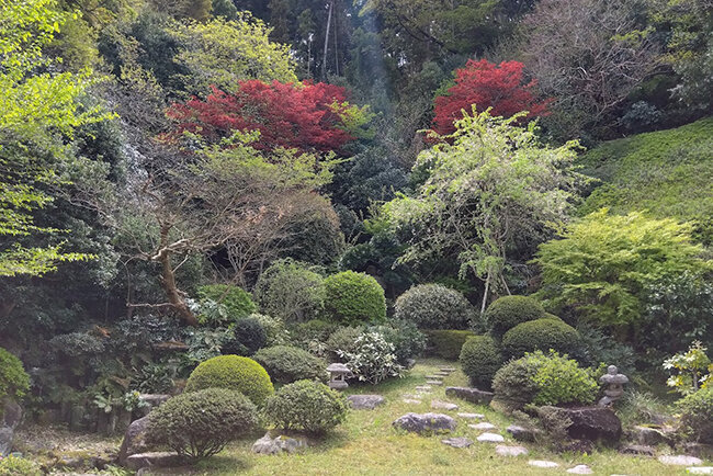 一代で築き上げた植木職人企業　ハワイへの進出を機にデジタル化を強力に推進　一流職人の植栽移植に、ホームページで大きな反響　長谷川植木（神奈川県）