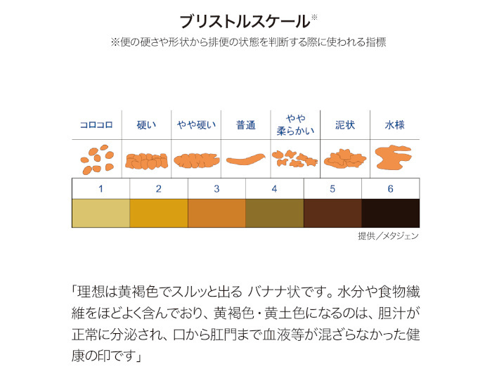 年々増える内臓脂肪や基礎代謝・免疫力の低下などの原因は？ 腸内細菌が産生する「短鎖脂肪酸」に研究者が注目