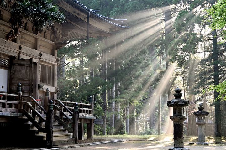 布団を運んで、大盛り上がり？！ 〜泉州を代表するお祭り「ふとん太鼓」〜【堺・泉州エリア】