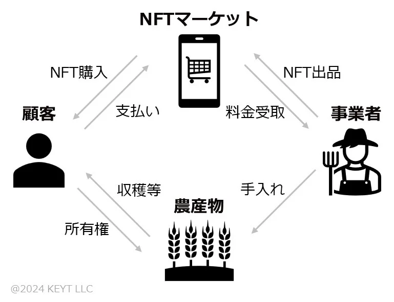 柿の木NFT！奈良県五條市にて農の高付加価値化に関するモニター調査開始